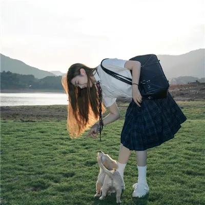 当家小娘子