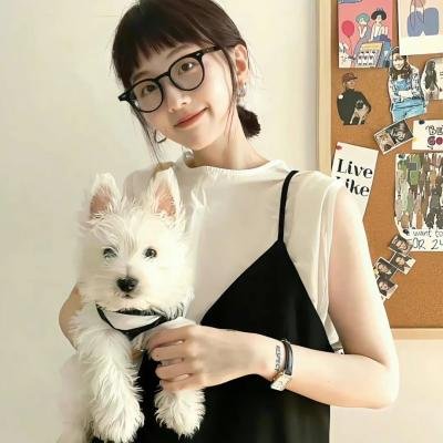 佛兰德斯的狗